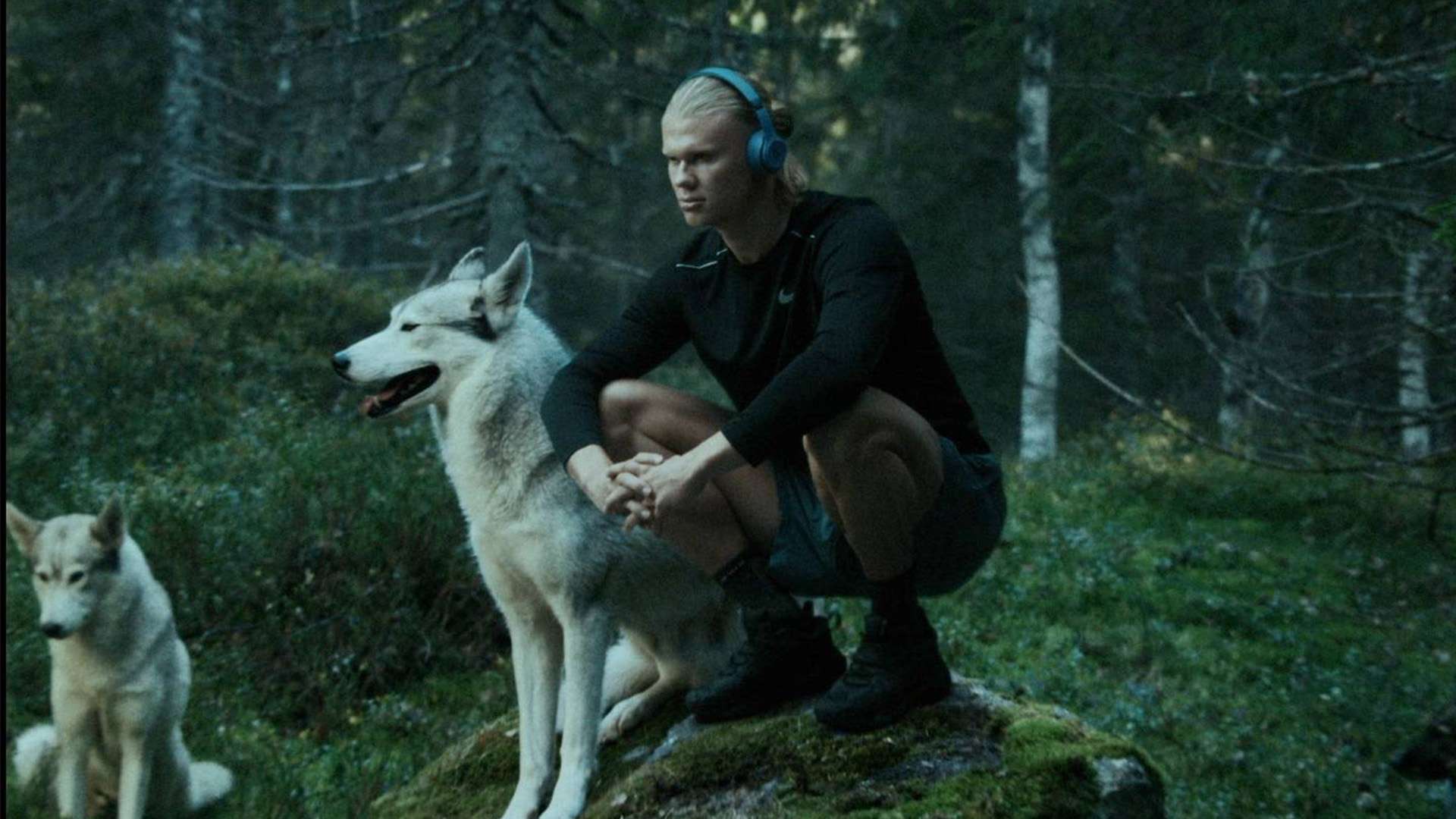 型来实现对 型来实现对